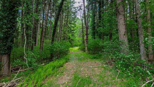 Lady Grey Cottage - Hot Tub - Foto 4