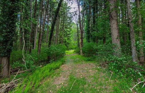 Lady Grey Cottage - Hot Tub - Foto 4