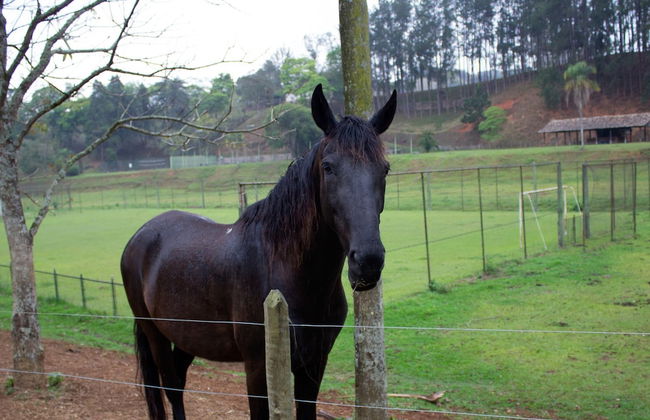 Hotel Serraverde - Foto 20