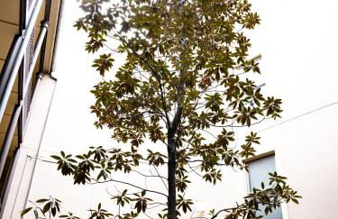 Gallery Guest - Foto 33