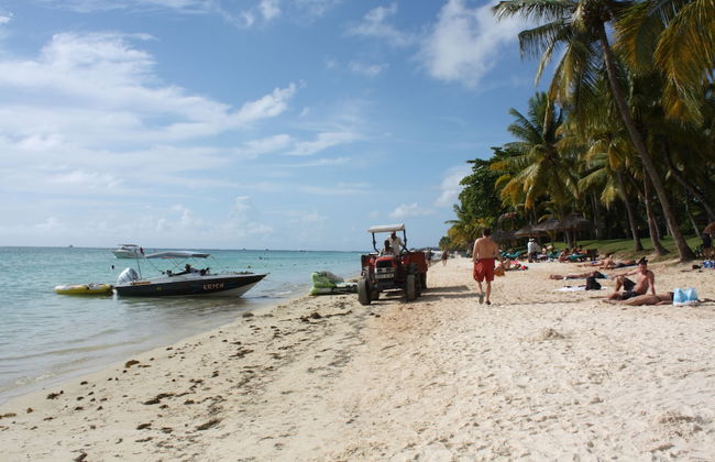 Faisan Dore - Photo 13