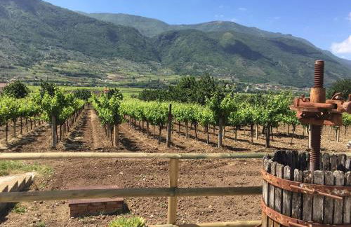 Dimorra Country House - Foto 26