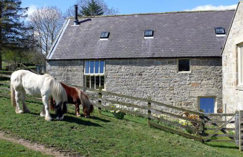 The Old Mill - 28218 - Foto 13