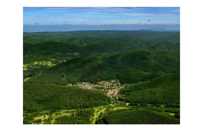 Haus Edith Modern Retreat - Photo 26