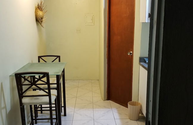 Karmen Apts Caguas Studio - Photo 7