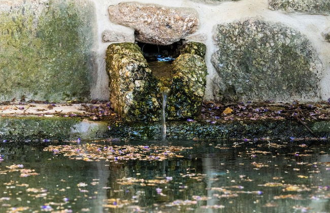 Quinta de Cypriano - Wine & Nature - Foto 78