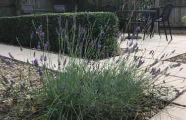 Walnut Corner - Foto 2