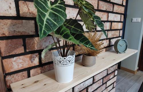 Kaszubski Zakątek - Foto 9