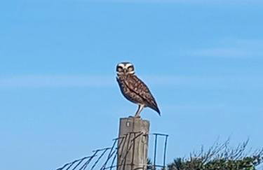Casa em Unamar, Cabo Frio - com piscina privativa - Foto 21