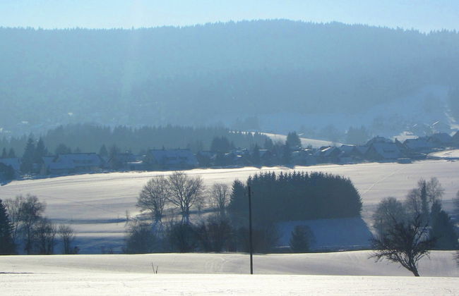 Pleasing Apartment in Herrischried near Forest - Foto 25