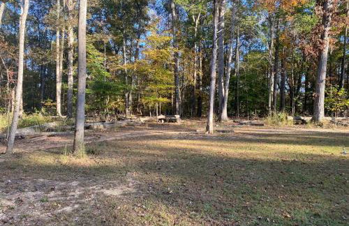 Quiet Forest Vacation home on a Private Road with Spacious Patios, Fire pit, Pet friendly and a Private pool - Foto 32