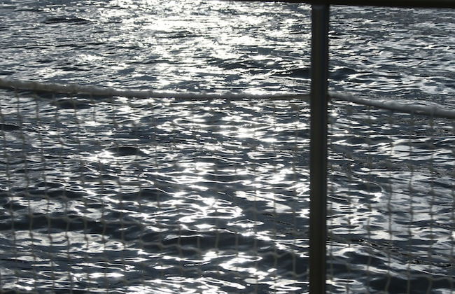 Les Ilots de Gruissan - Photo 2