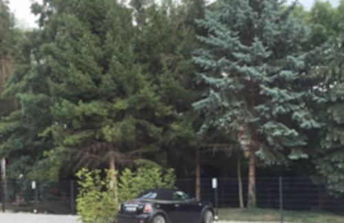 Gästehaus Ritter & Pacia, Ferienwohnung 2. Etage - Foto 9