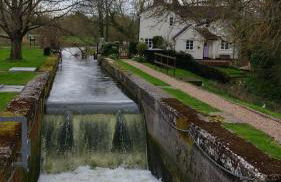 The Bird House at Woodburn Cottage - Foto 15