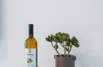 Aetherion Urban Elegance - Foto 59