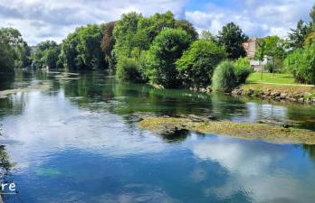 Le Cerf au Bois Dormant - Foto 25