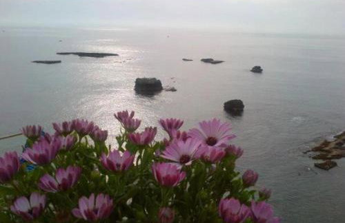 Riccio di Mare - Large and bright flat on the sea - Foto 6