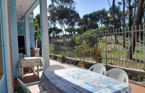 Bibbona Summer - Pineta 1 - - Foto 1