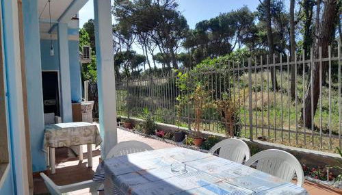 Bibbona Summer - Pineta 1 - - Foto 1