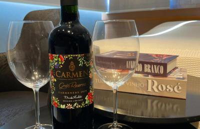 Apartamento temático luxo Mundo do Vinho! - Foto 10