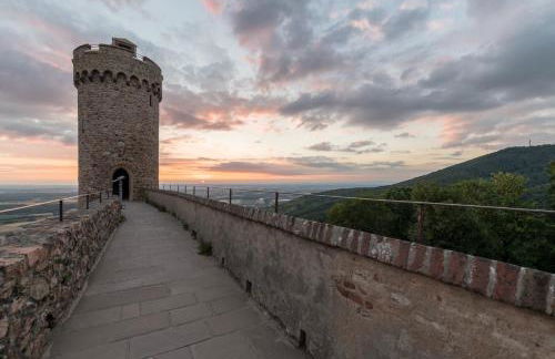 Schloss Auerbach Große Ferienwohnung - Photo 3