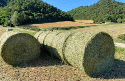 Agriturismo Popolano Di Sotto - Foto 53