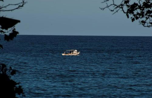 Feel at Home - Photo 28