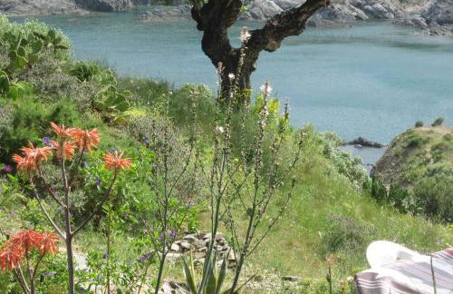 Les pieds dans l'eau ! - Foto 22