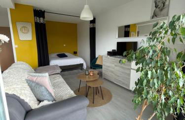 Studio cocoon avec vue sur le Beaujolais - Foto 17