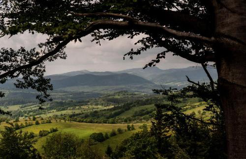 'chata usÓwek' - Foto 13