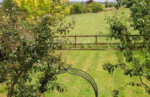 Field View - Foto 24