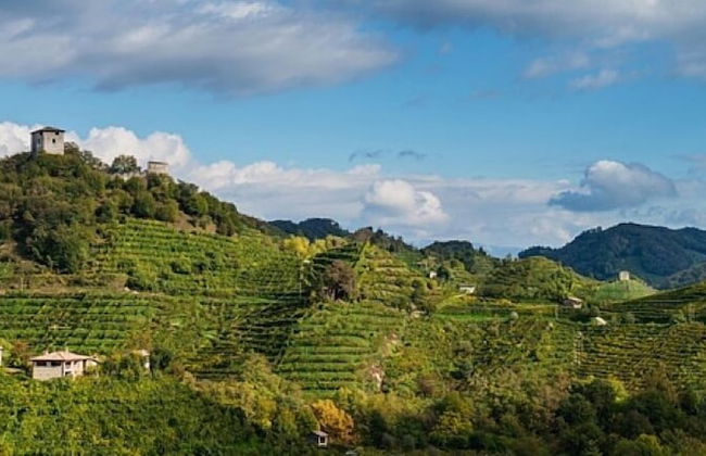 Relais Villa Selvatico - Foto 45