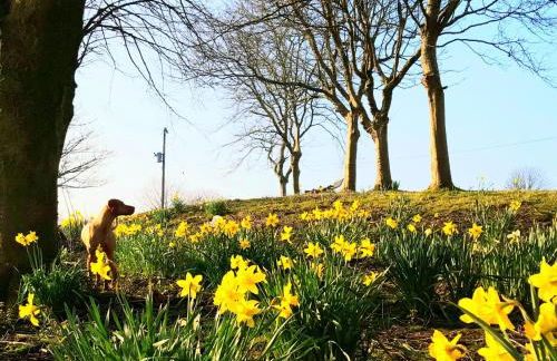 The Cottage-Uk32854 - Photo 25