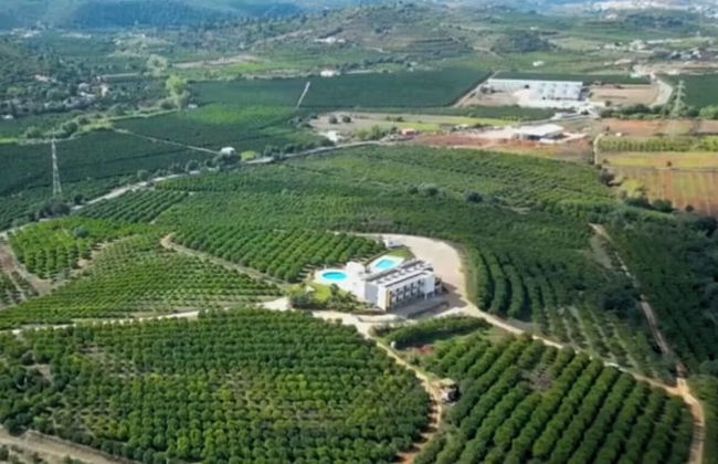 Orange Grove Residence - Foto 12