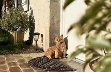 Maison Moz - Foto 21