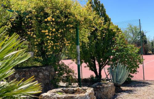 Torcales del Lobo Apartamentos Rurales - Foto 50