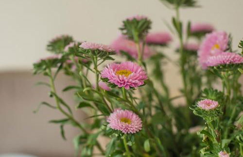 Greenbank - Photo 39