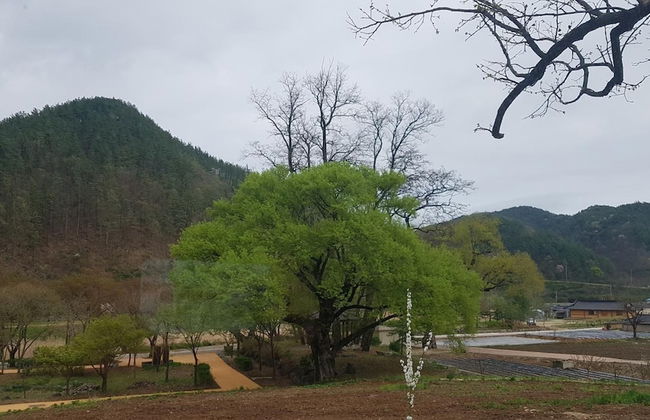 Moonlight House - Photo 29