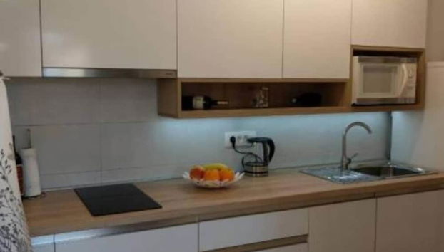 Apartment Hitri - One Bedroom Apartment With Terrace and Garden View - Foto 3, Cocina privada