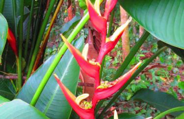 Refúgio dos Valdenses - Photo 21