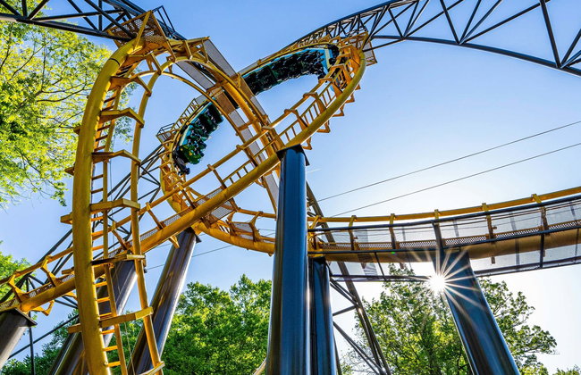 Entrada a Busch Gardens Williamsburg - Foto 1