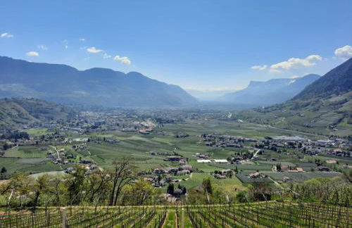 Unterötzbauerhof - Fewo Rosenblick - Foto 21