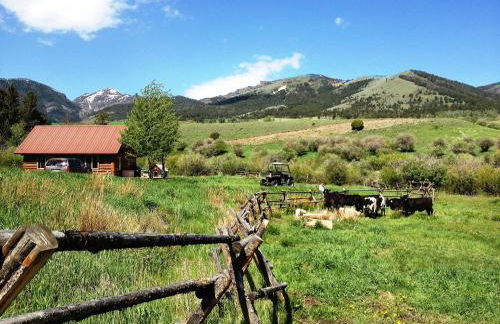 Grandpa's Cabin - Foto 30