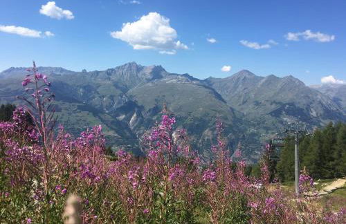 Les ARCS 1600 - SKI AUX PIEDS - MAGNIFIQUE DUPLEX 12 PERSONNES - Foto 65