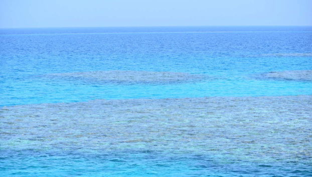 Sataya Reef