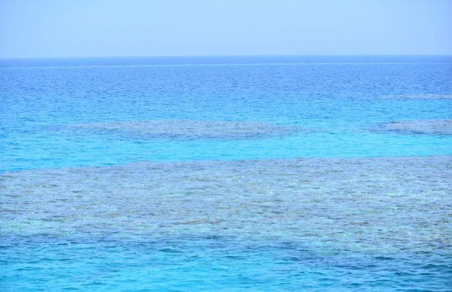 Sataya Reef Boat Trip + Snorkeling with Dolphins - Photo 4