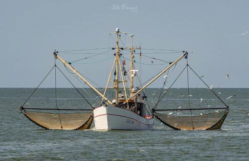 Ferienwohnung Watt un Leev in direkter Strand & Citynähe von Büsum - Foto 29