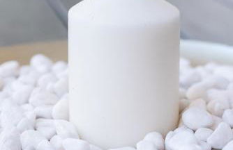 Salamandra - Photo 41