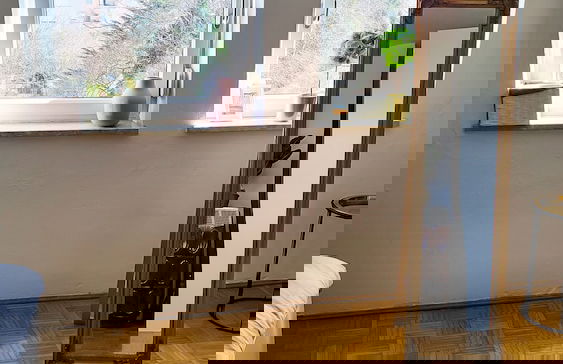 DG Links 40m 2-Zimmer Wohnung - Foto 4