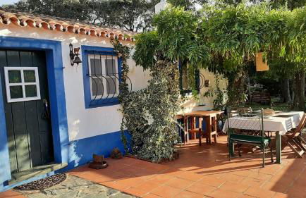 Monte Horta da Velhinha - Foto 8